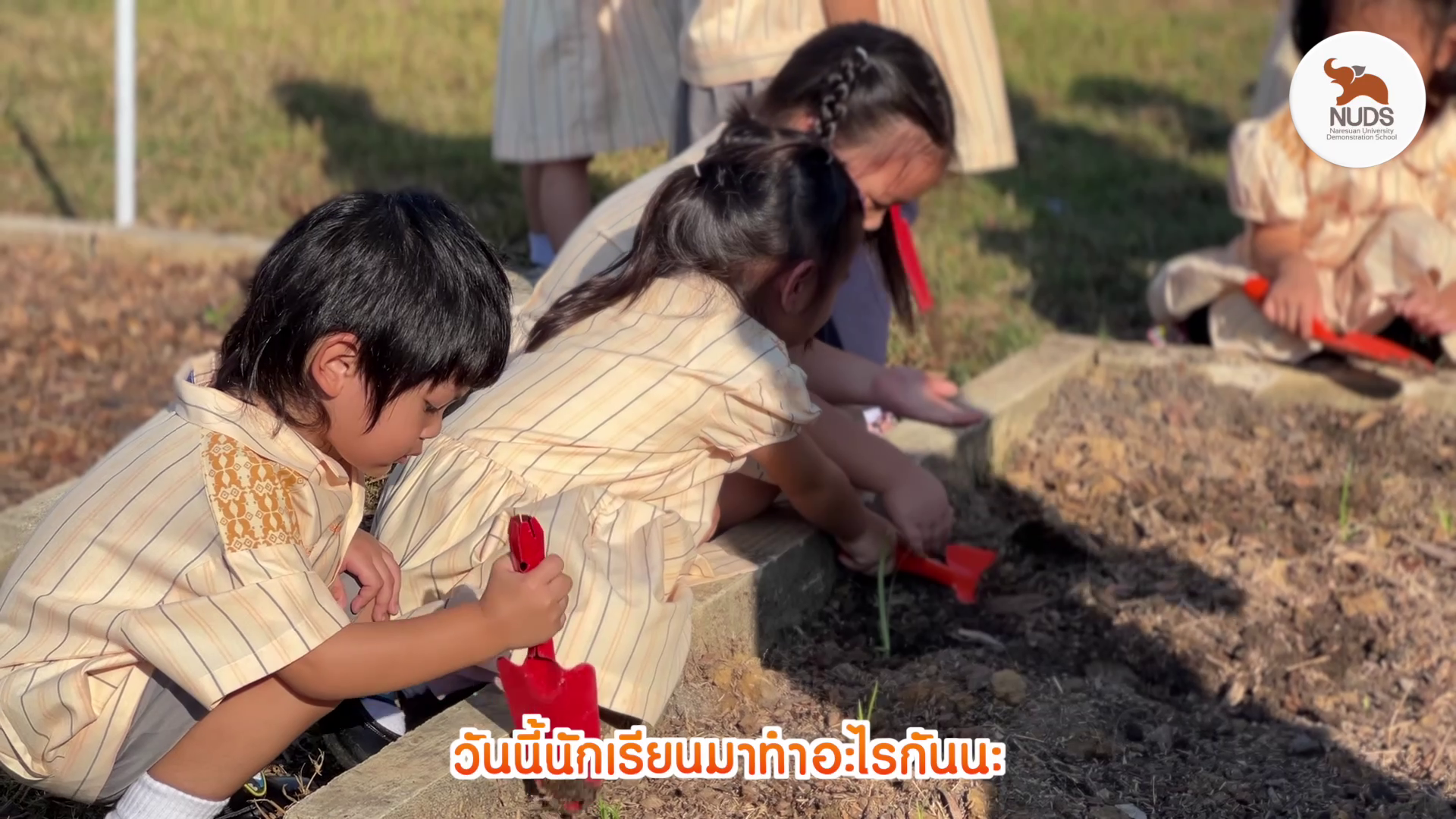 NUDS Little Farmer @NUDS Kindergarten สวนผักช้างน้อย